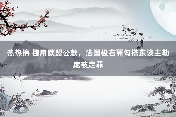 热热撸 挪用欧盟公款，法国极右翼勾搭东谈主勒庞被定罪