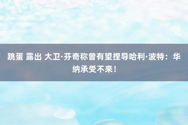 跳蛋 露出 大卫·芬奇称曾有望捏导哈利·波特：华纳承受不来！